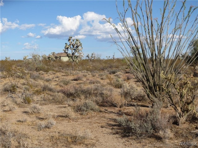 view of local wilderness