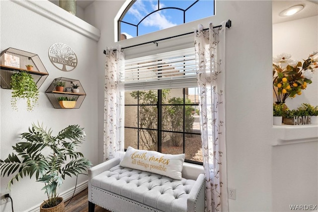 living area featuring wood finished floors, a wealth of natural light, and baseboards