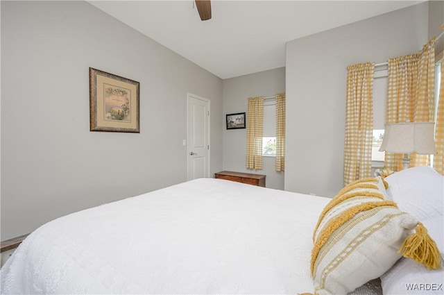 bedroom with ceiling fan