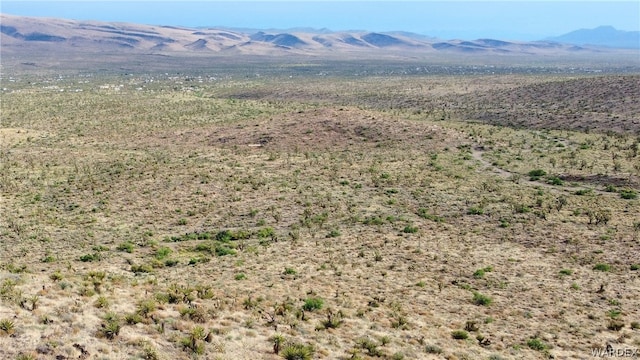 2LOTS N Queen Dr, Dolan Springs AZ, 86441 land for sale