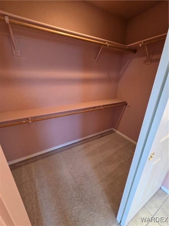 walk in closet featuring light carpet