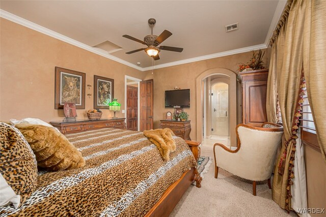 381 Riverfront Dr, Bullhead City, AZ 86442 - photo 43