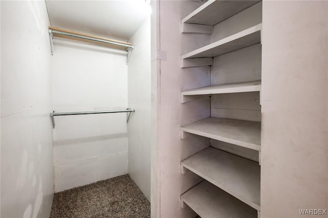 spacious closet with carpet floors