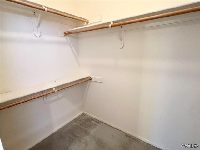 view of spacious closet