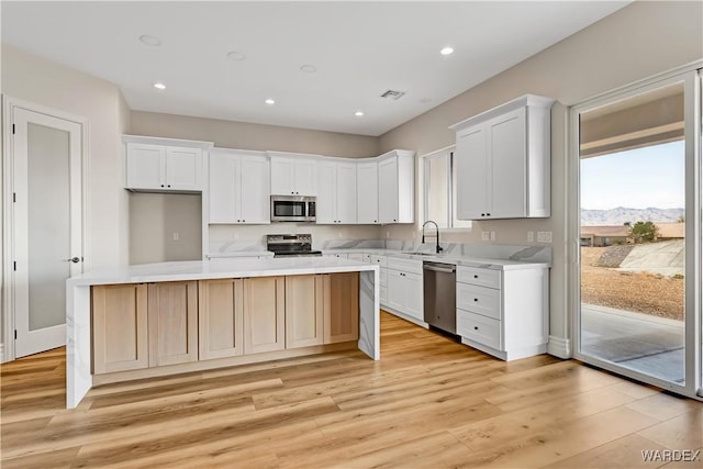 kitchen with stainless steel appliances, light wood finished floors, plenty of natural light, and light countertops