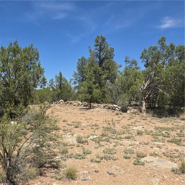 32220 W Conejo Rd, Seligman, AZ 86337 - photo 16
