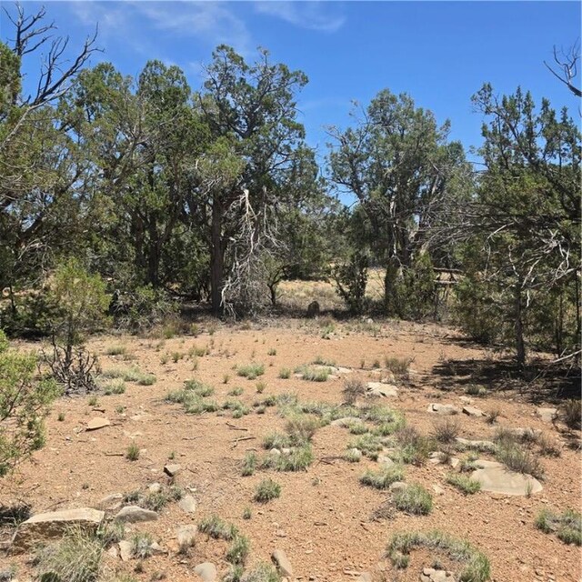 32220 W Conejo Rd, Seligman, AZ 86337 - photo 13