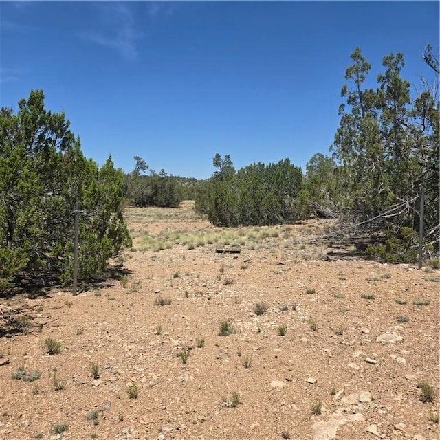 32220 W Conejo Rd, Seligman, AZ 86337 - photo 5