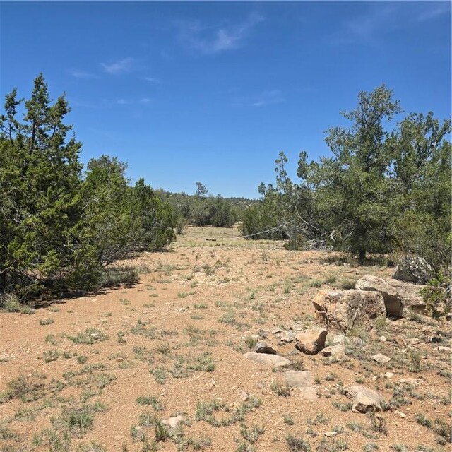 32220 W Conejo Rd, Seligman, AZ 86337 - photo 17