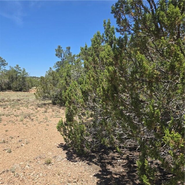 32220 W Conejo Rd, Seligman, AZ 86337 - photo 3
