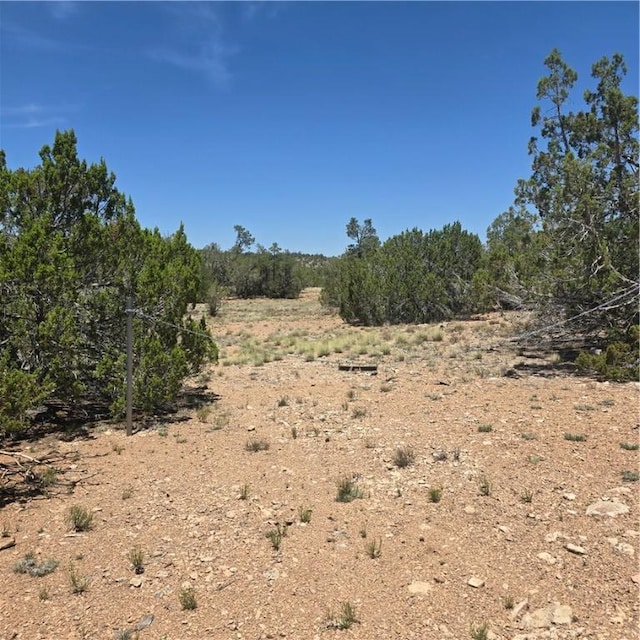 32220 W Conejo Rd, Seligman, AZ 86337 - photo 4