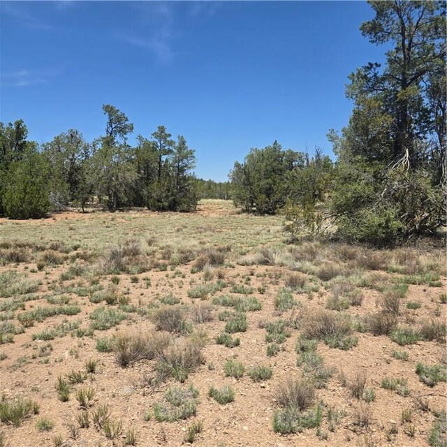 32220 W Conejo Rd, Seligman, AZ 86337 - photo 9