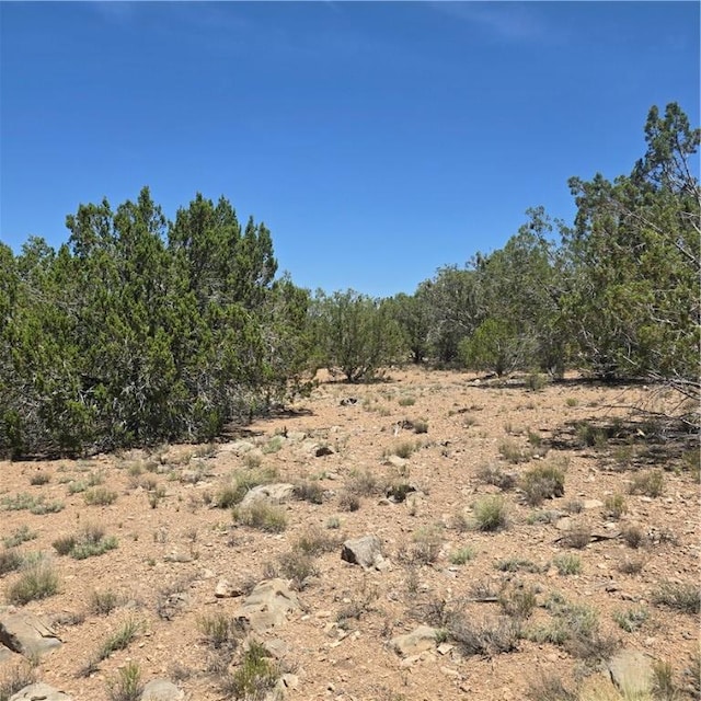 32220 W Conejo Rd, Seligman, AZ 86337 - photo 6