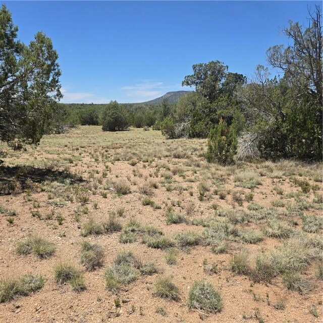 32220 W Conejo Rd, Seligman, AZ 86337 - photo 8