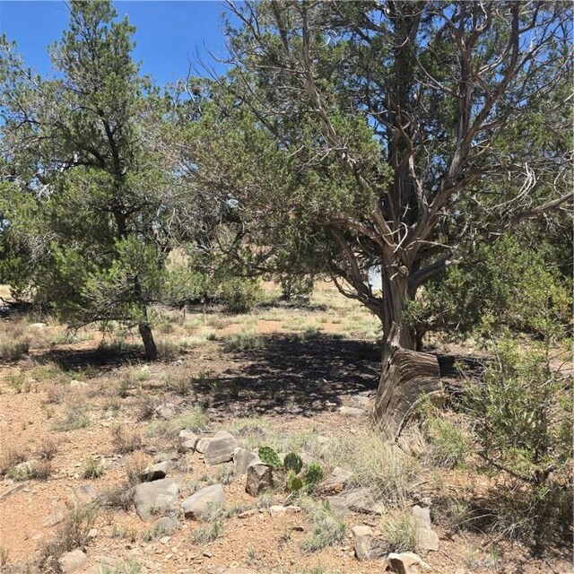 32220 W Conejo Rd, Seligman, AZ 86337 - photo 12