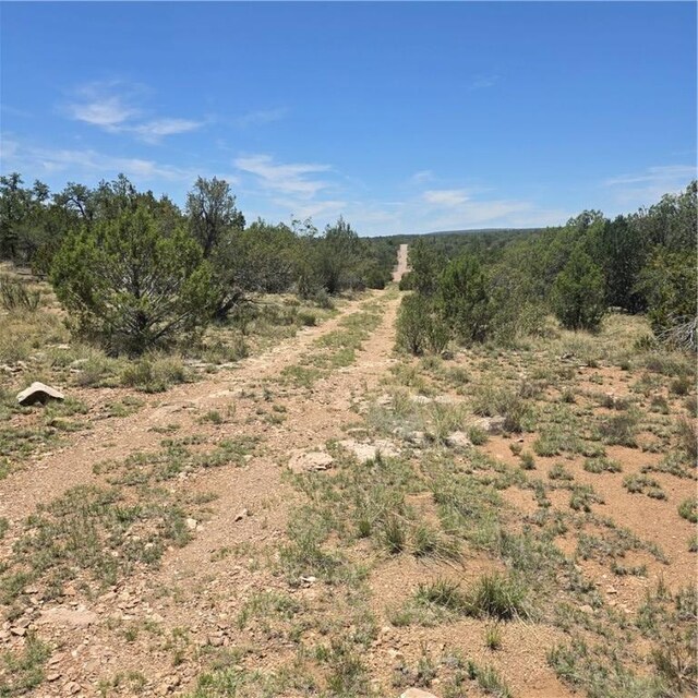 32220 W Conejo Rd, Seligman, AZ 86337 - photo 15