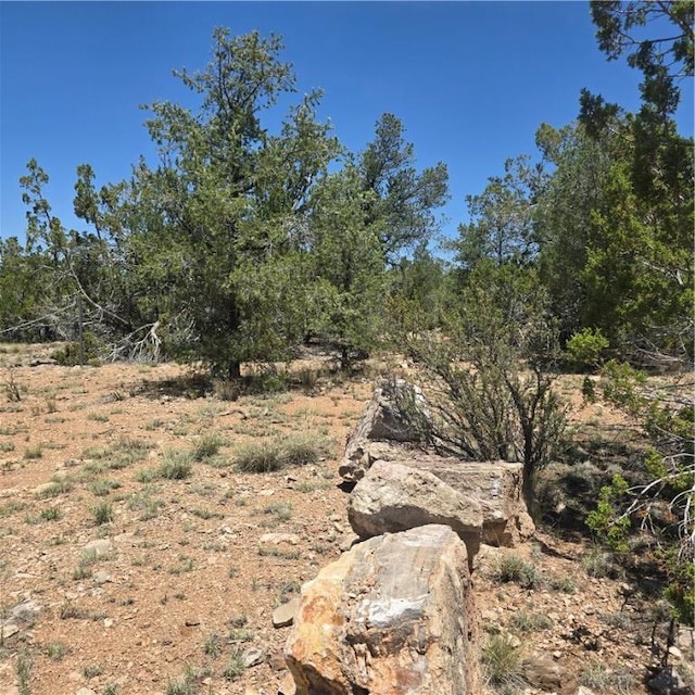 32220 W Conejo Rd, Seligman, AZ 86337 - photo 1