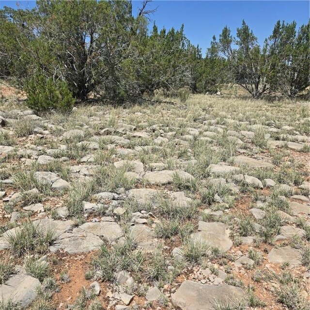 32220 W Conejo Rd, Seligman, AZ 86337 - photo 14