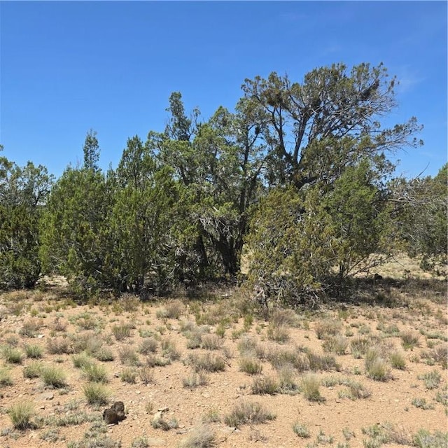 32220 W Conejo Rd, Seligman, AZ 86337 - photo 7