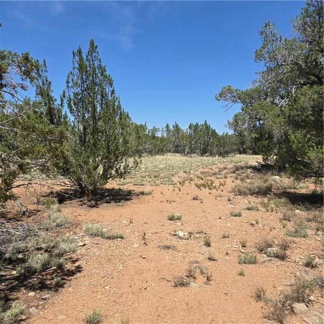 32220 W Conejo Rd, Seligman, AZ 86337 - photo 11