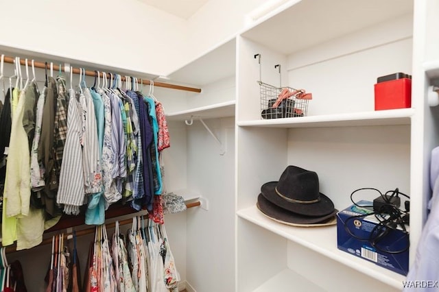 view of spacious closet