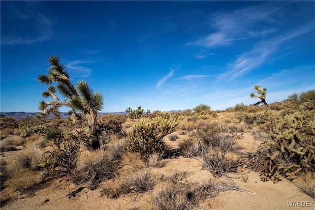 Listing photo 3 for LOT1 S Carrow Rd, Yucca AZ 86438