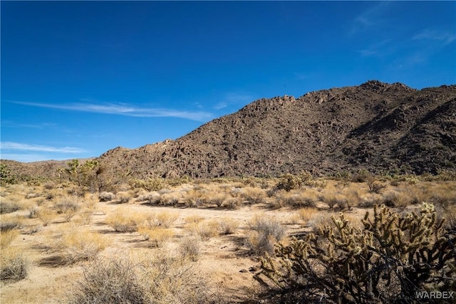 Listing photo 2 for LOT1 S Carrow Rd, Yucca AZ 86438