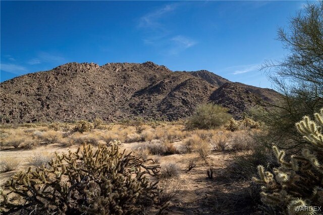 LOT1 S Carrow Rd, Yucca AZ, 86438 land for sale