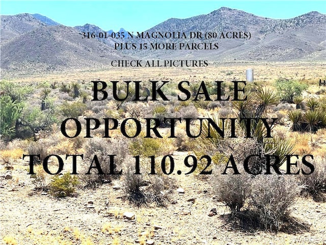 316-01-035 N Magnolia Dr, Dolan Springs, AZ 86441 - photo 1