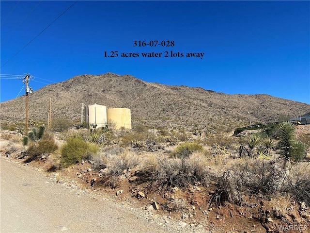 316-01-035 N Magnolia Dr, Dolan Springs, AZ 86441 - photo 2