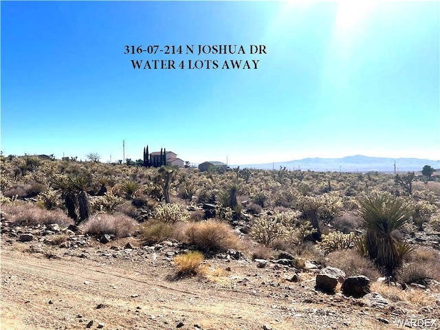 316-01-035 N Magnolia Dr, Dolan Springs, AZ 86441 - photo 4