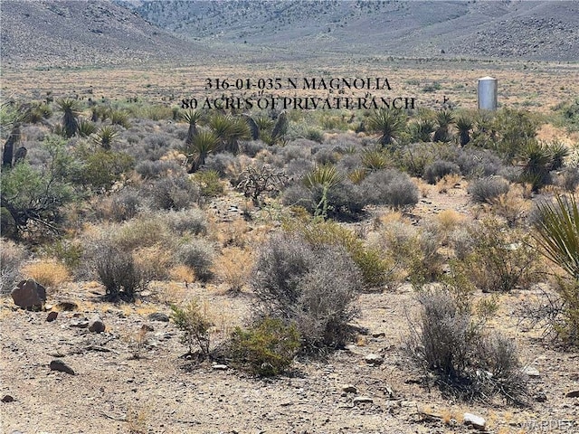 316-01-035 N Magnolia Dr, Dolan Springs, AZ 86441 - photo 17