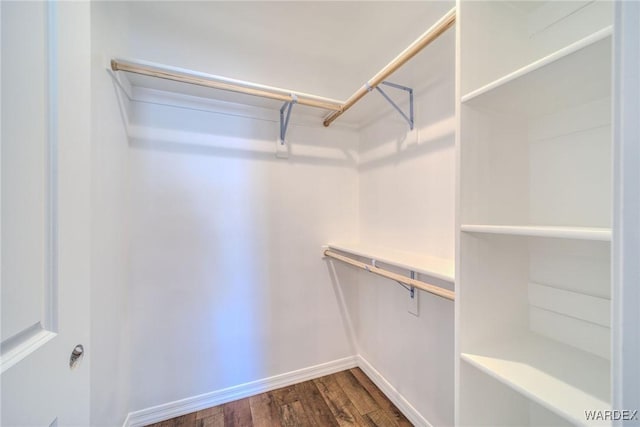 spacious closet with dark wood-style flooring