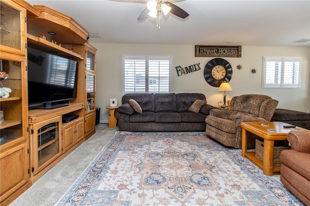 8294 S Smoketree Ln, Mohave Valley, AZ 86440 - photo 22