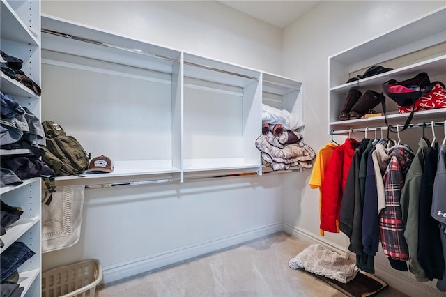10726 S Shimmering Way, Mohave Valley, AZ 86440 - walk in closet with carpet floors