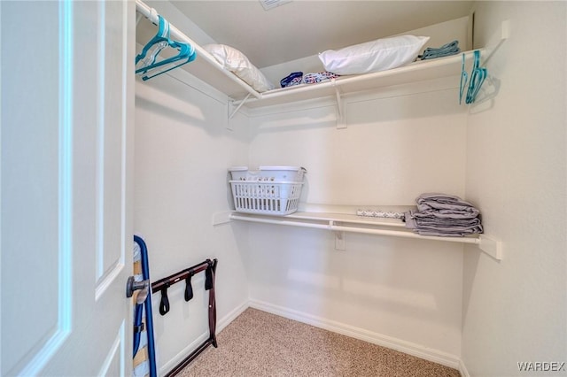 spacious closet featuring light colored carpet