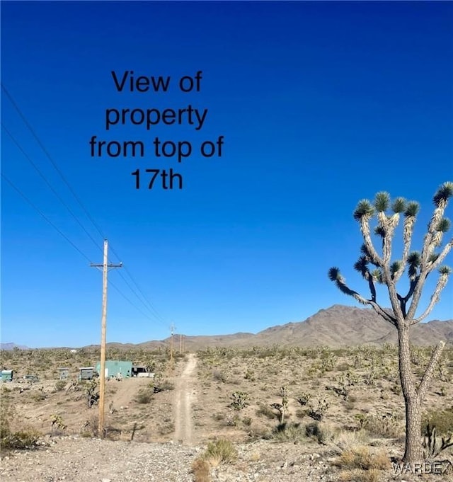 17500 N Needle Dr, Dolan Springs, AZ 86441 - photo 4