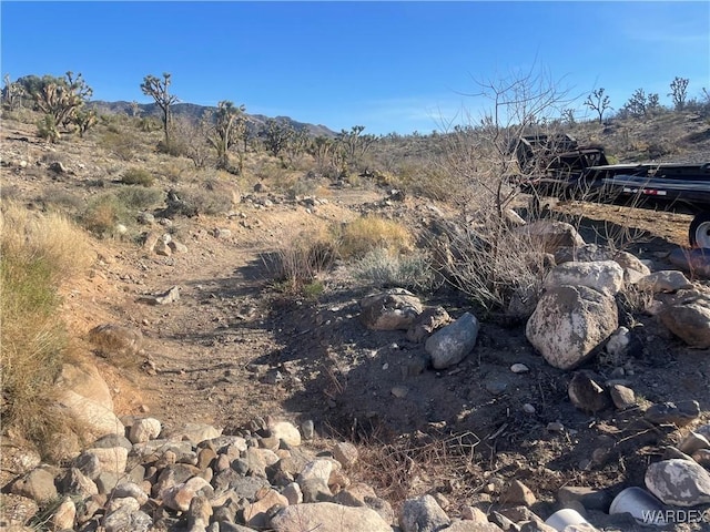 17500 N Needle Dr, Dolan Springs, AZ 86441 - photo 38