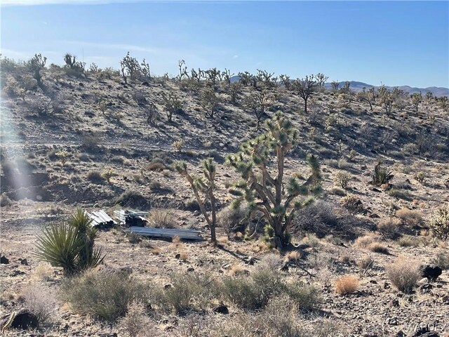 17500 N Needle Dr, Dolan Springs, AZ 86441 - photo 31