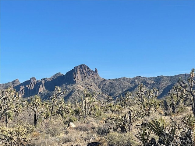 17500 N Needle Dr, Dolan Springs, AZ 86441 - photo 3