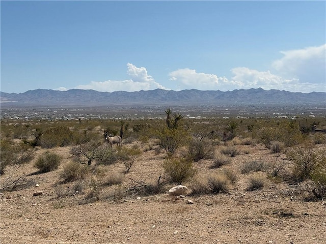1629 S Growler Rd, Golden Valley, AZ 86413 - photo 6
