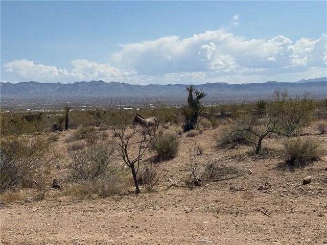 1629 S Growler Rd, Golden Valley, AZ 86413 - photo 7
