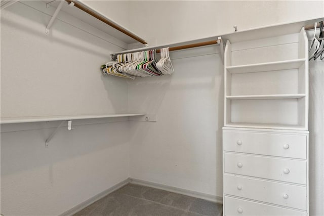 3628 N Venus Ct, Golden Valley, AZ 86413 - spacious closet with carpet