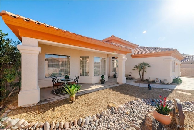 rear view of property with a patio, a tile roof, and stucco siding