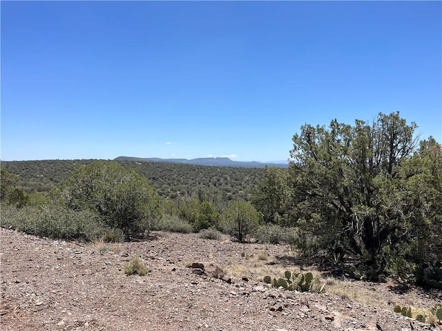 15 E Buck Trl, Kingman, AZ 86401