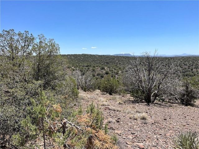 15 E Buck Trl, Kingman, AZ 86401