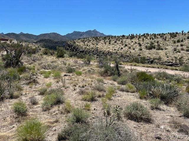 Listing photo 2 for TBD Lazy Y U, Kingman AZ 86401