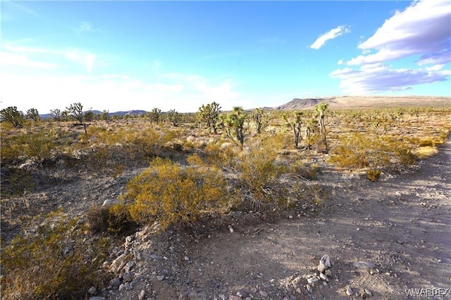 10 N Mesquite Dr, Dolan Springs, AZ 86441
