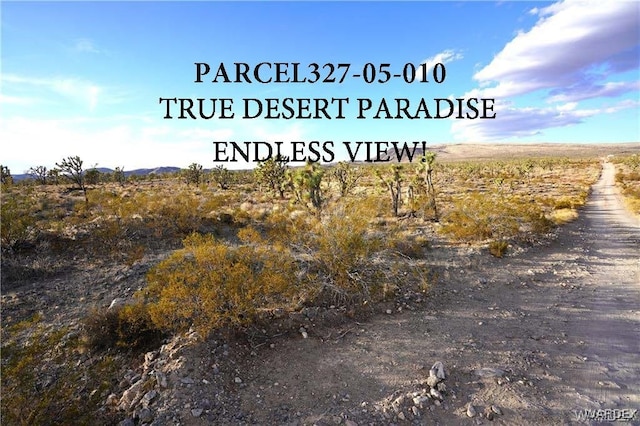 10 N Mesquite Dr, Dolan Springs, AZ 86441