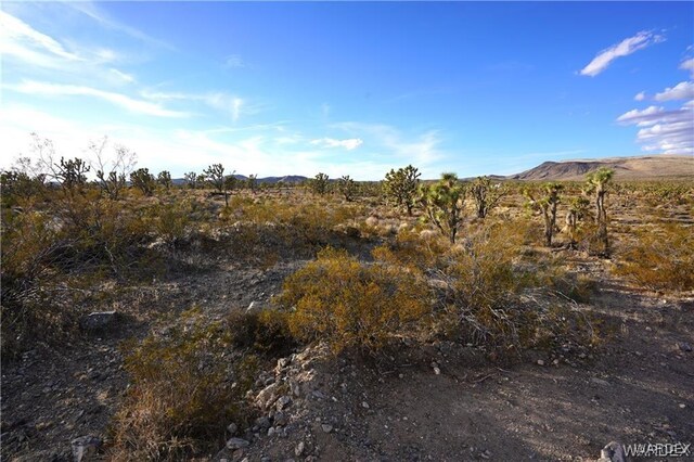 10 N Mesquite Dr, Dolan Springs, AZ 86441